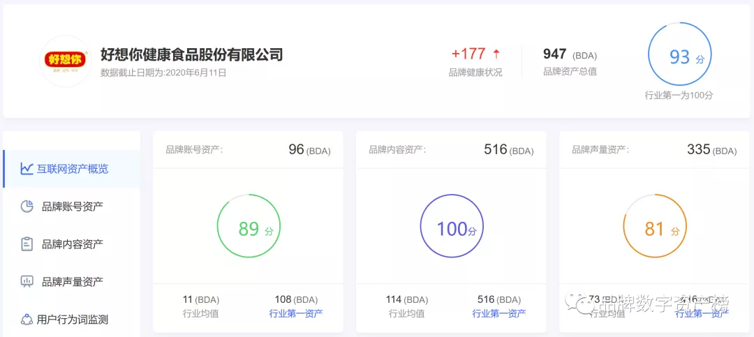 好想你品牌數字資産概覽（數據來(lái)源：九一數據）