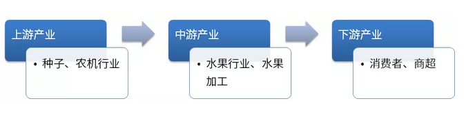 果汁行業産業鏈